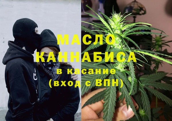 хмурый Алзамай