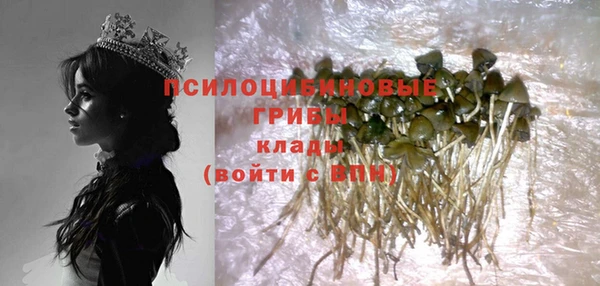 хмурый Алзамай