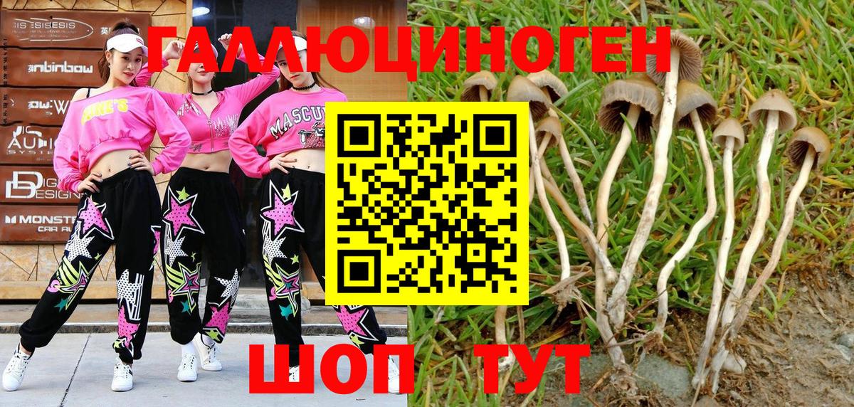 Галлюциногенные грибы мухоморы Кимры